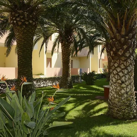 Oasis 2* Αλγκέρο