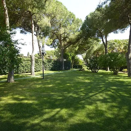 Oasis Αλγκέρο