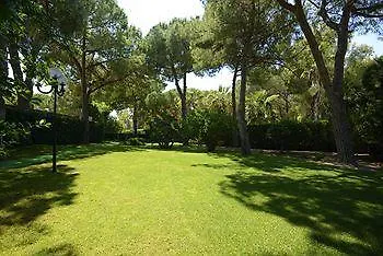 Oasis Αλγκέρο