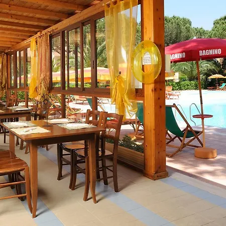 Oasis Αλγκέρο