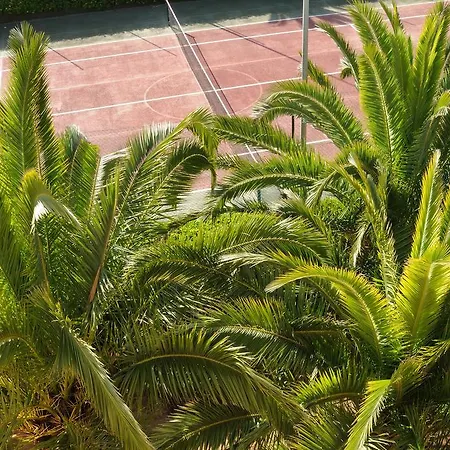 Oasis 2* Αλγκέρο