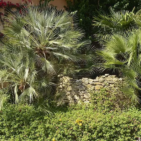 Ξενοδοχείο με διαμερίσματα Oasis Αλγκέρο