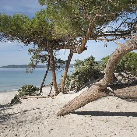 Oasis Αλγκέρο