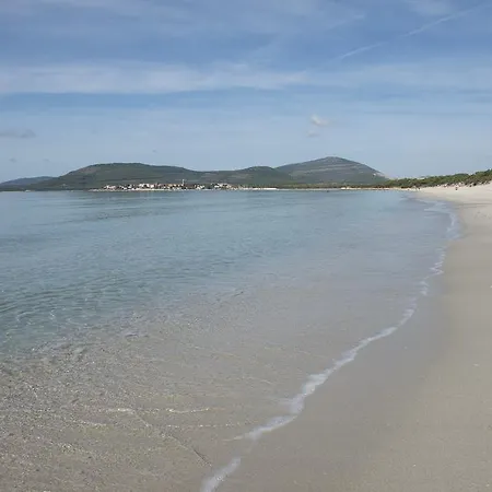 Ξενοδοχείο με διαμερίσματα Oasis Αλγκέρο