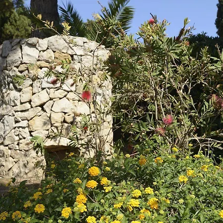 Oasis