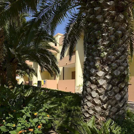 Oasis Αλγκέρο